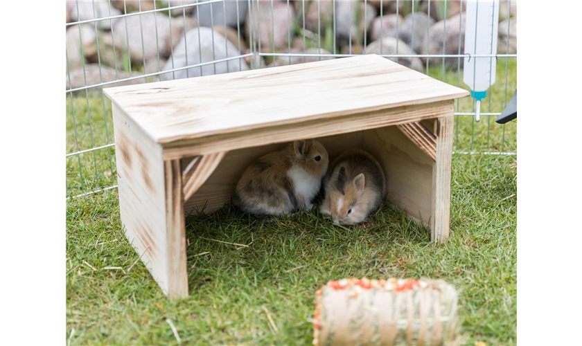 Unterstand Art.-Nr.: 61940, Maße: 50 × 26 × 31 cm, für z. B.: Meerschweinchen, Zwergkaninchen