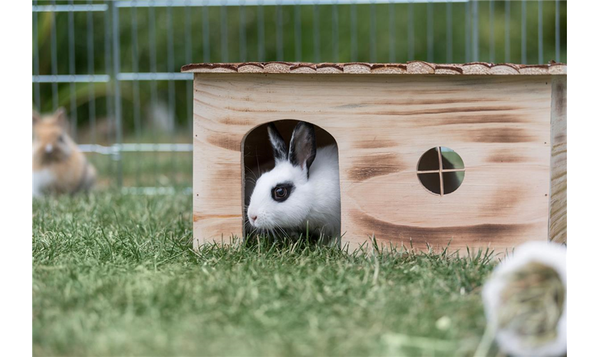 Haus Grete Art.-Nr.: 61975, Maße: 45 x 24 × 28 cm, für z. B Kaninchen