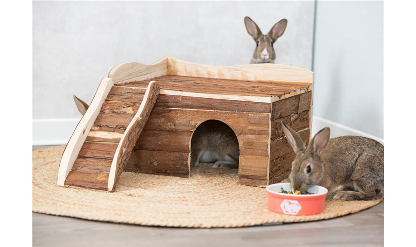 Haus Ineke Art.-Nr.: 61985, Maße: 38 × 25 × 50 cm, für z. B.: Meerschweinchen, Zwergkaninchen