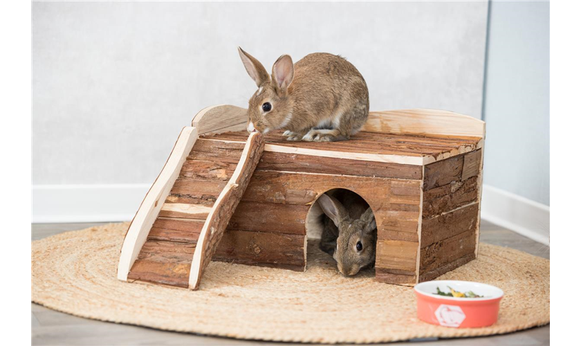 Haus Ineke Art.-Nr.: 61985, Maße: 38 × 25 × 50 cm, für z. B.: Meerschweinchen, Zwergkaninchen