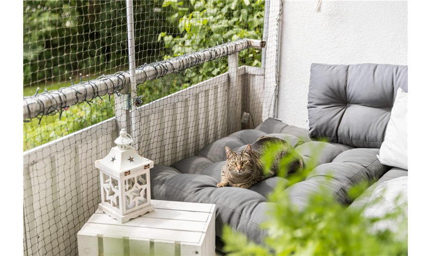 Schutznetz, drahtverstärkt Art.-Nr.: 44292, Maße 3 x 2 m