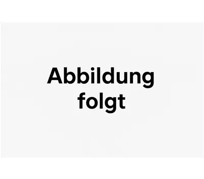 Kiebitzmarkt Meisenknödel schalenlos Nuss ohne Netz