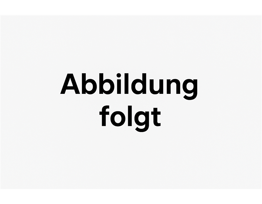 Kiebitzmarkt Meisenknödel schalenlos Nuss ohne Netz 30 x 95 g