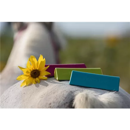 fellschön® Fellwechselhelfer