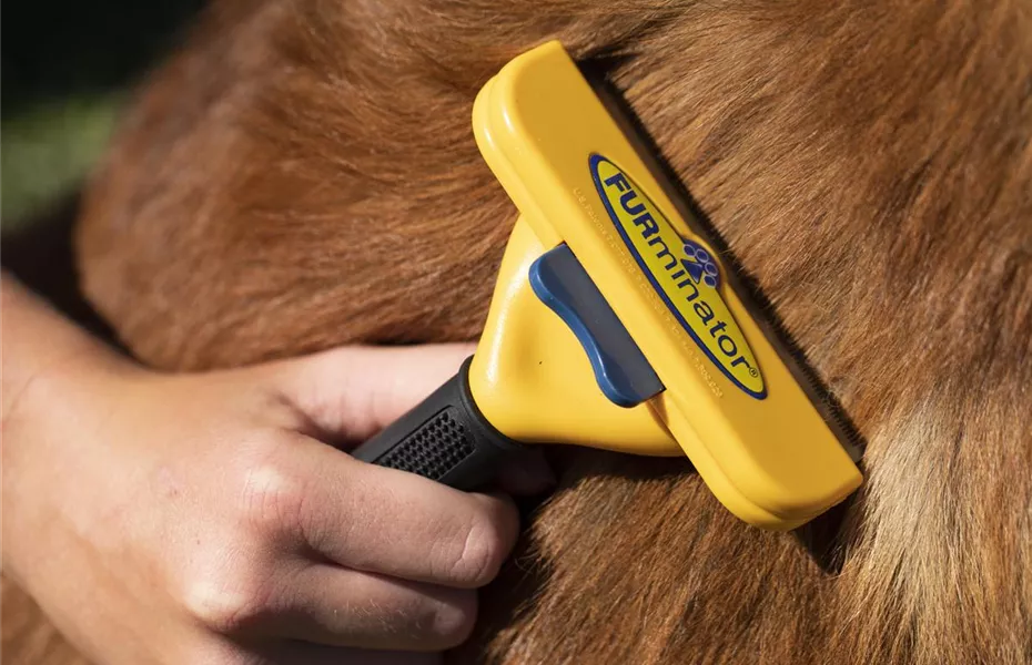 FURminator – Das praktische Hilfsmittel bei der Fellpflege
