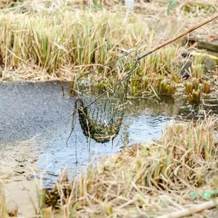 Den Gartenteich winterfest machen – So geht’s!