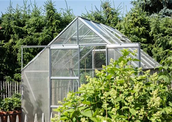 Ein Gewächshaus anlegen