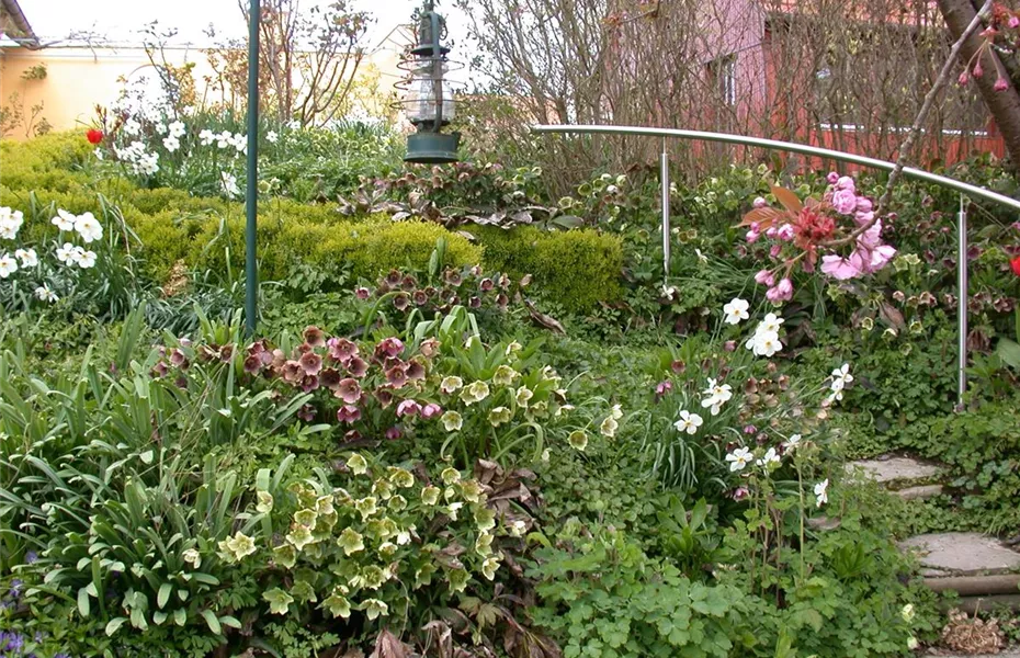 Cottage Garden: Englisches Flair im eigenen Garten