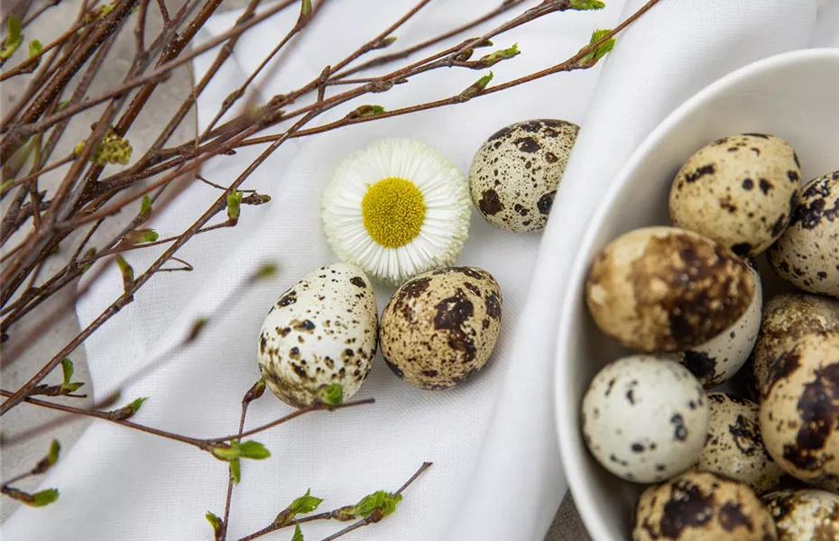 Palmsonntag: grüne Traditionen in der Kirche