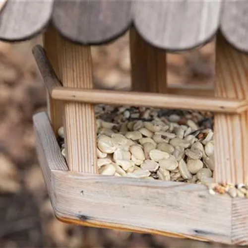 Vogelhäuser und -bäder