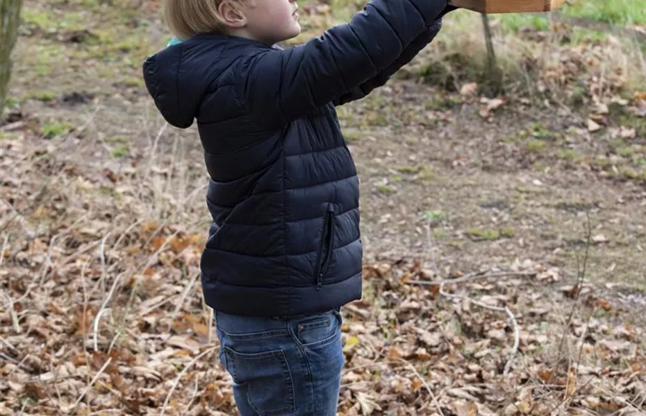 Vogelhäuser und -bäder