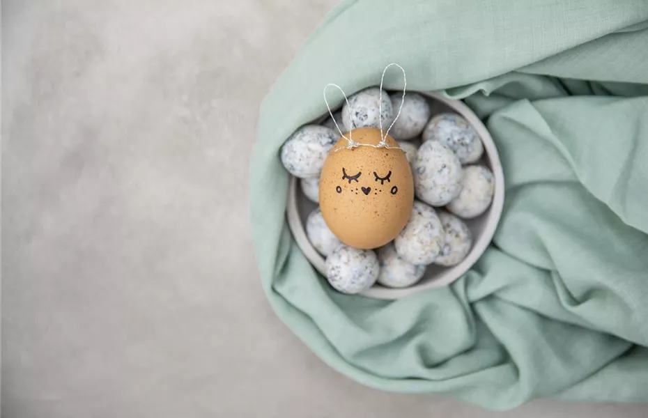 Das Garten-Paradies für Osterhase und Co.