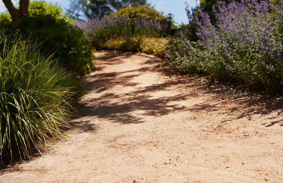 Wege im Garten anlegen
