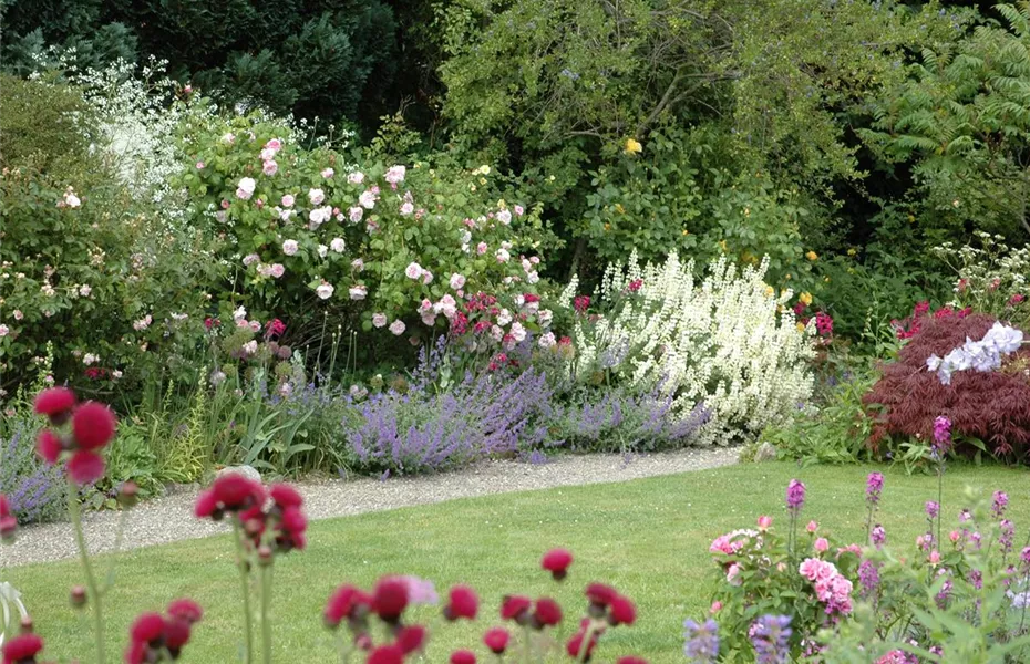 Aller Anfang ist (nicht) schwer - der erste eigene Garten
