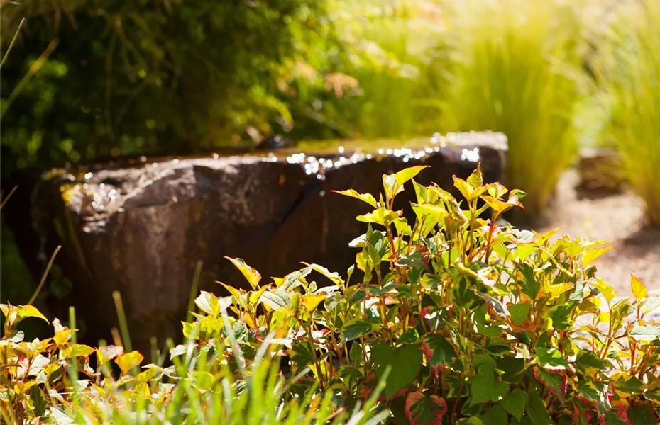 Findlinge im Garten - Sitzgelegenheit, Wasserfall oder Dekoelement