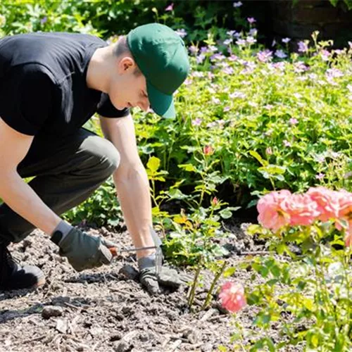 Was bringt der April dem Gärtner an Arbeit?