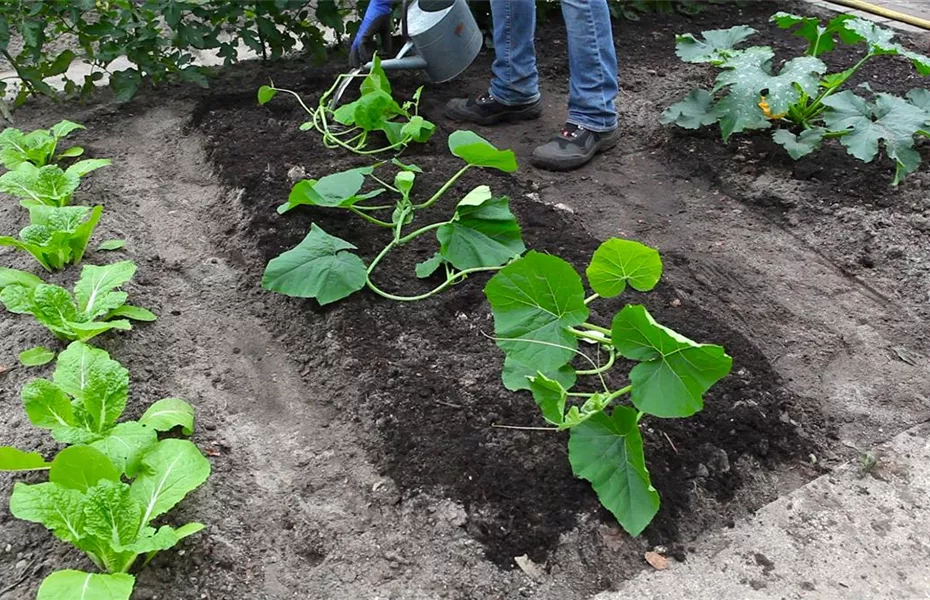Was bringt der April dem Gärtner an Arbeit?