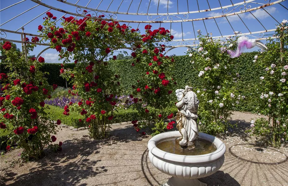 Der Barockgarten: royales Flair im eigenen Garten
