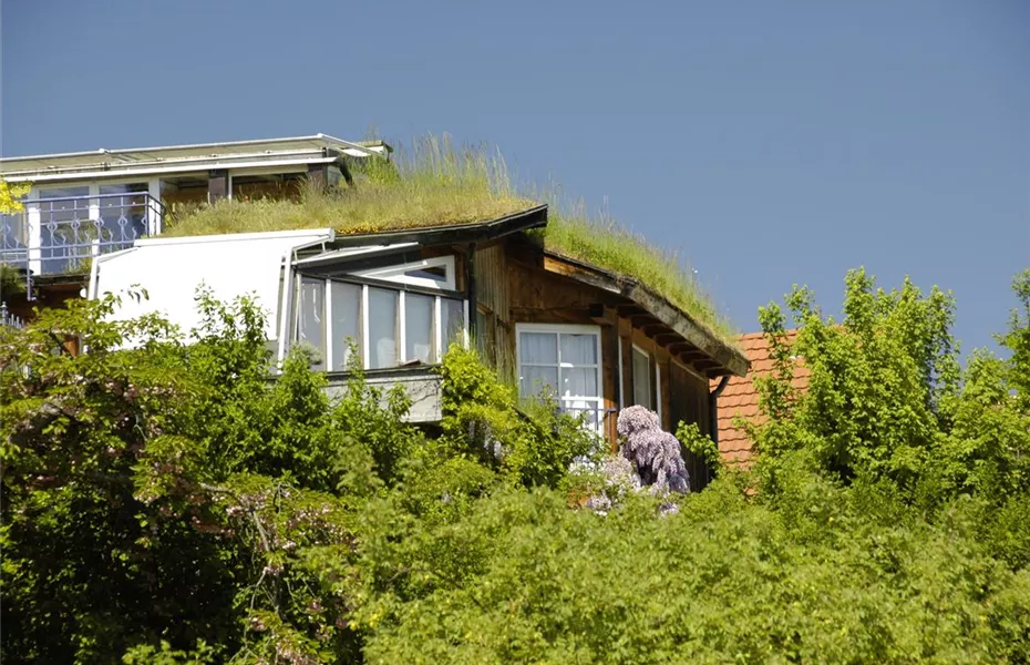 Der Dachgarten: ein Paradies über den Dächern der Welt