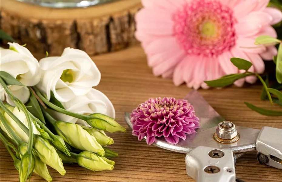 Schnittblumen - was hilft wirklich?