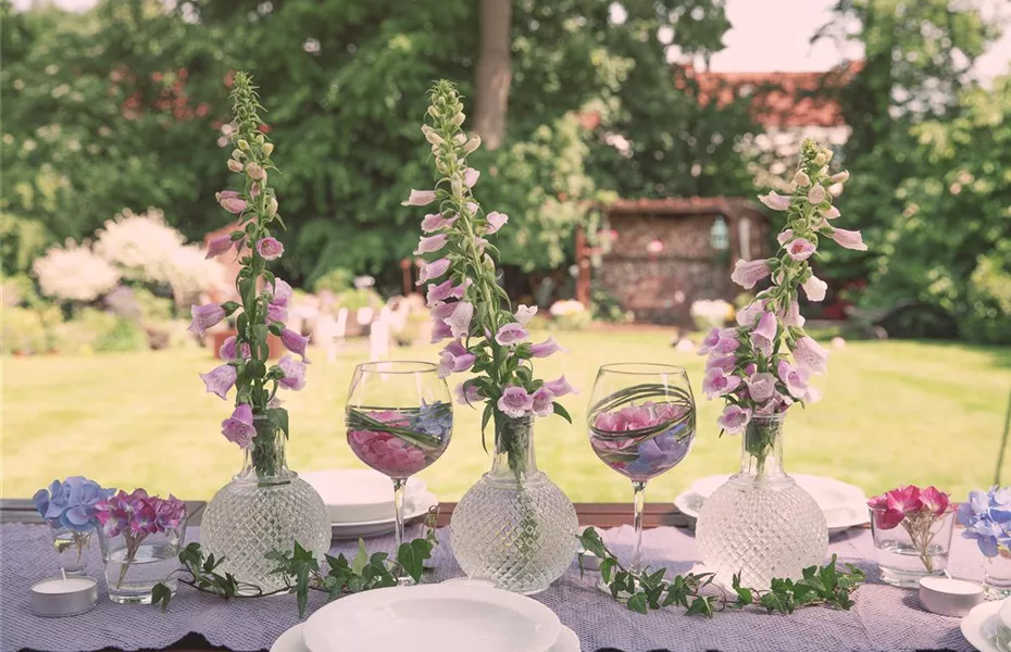 Feiern unter freiem Himmel: die besten Feste im Sommergarten