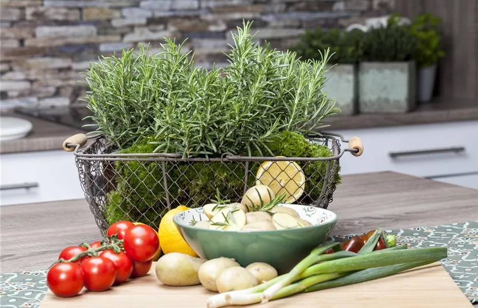 Kochen mit Kräutern aus dem Garten
