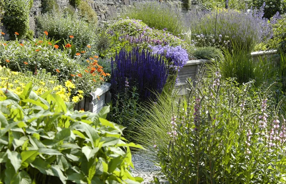 Staudengarten easy going