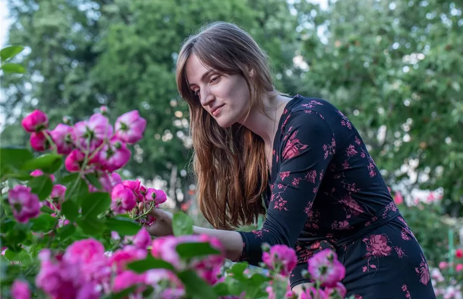 Die Rose – Wellness und Schönheit in einem