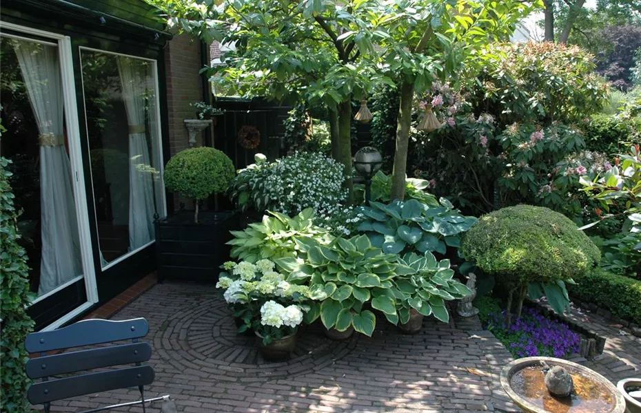 Schattengarten – Tipps zur Gestaltung