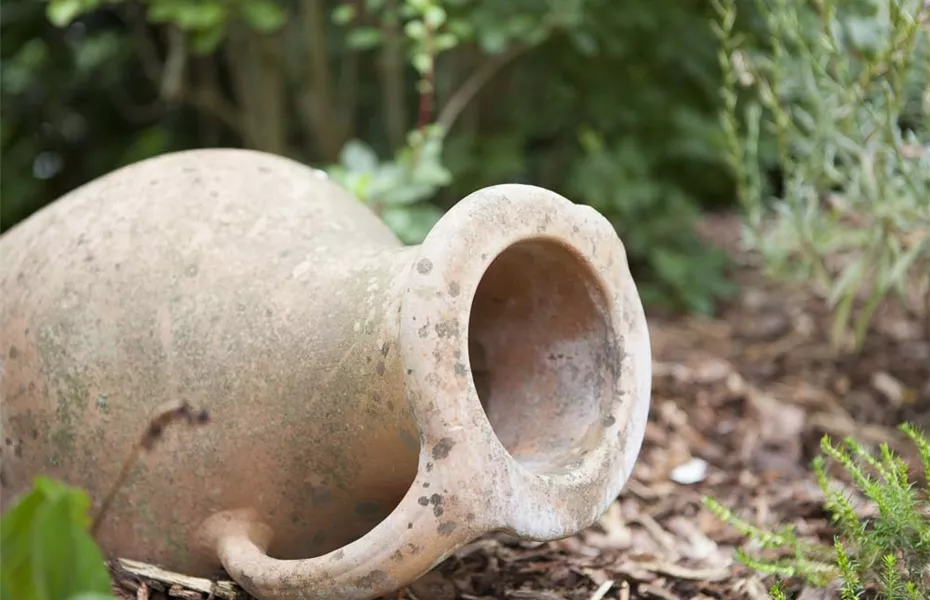 Möchten Sie Ihren Garten umstylen? So geht es ganz schnell 
