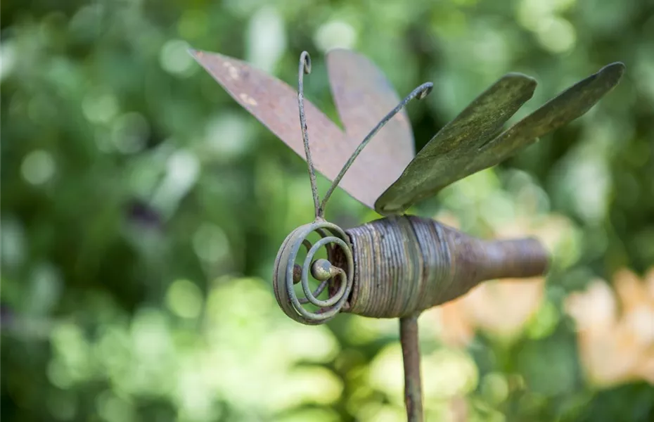 Möchten Sie Ihren Garten umstylen? So geht es ganz schnell 