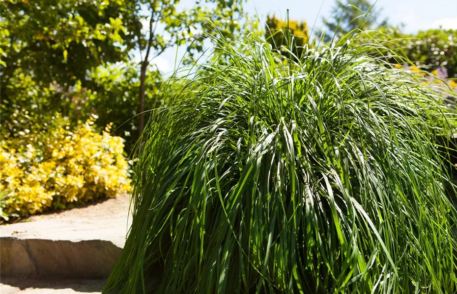 Möchten Sie Ihren Garten umstylen? So geht es ganz schnell 