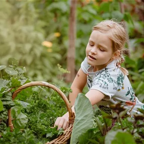 Jetzt kann geerntet werden! Kinder spielerisch einbeziehen