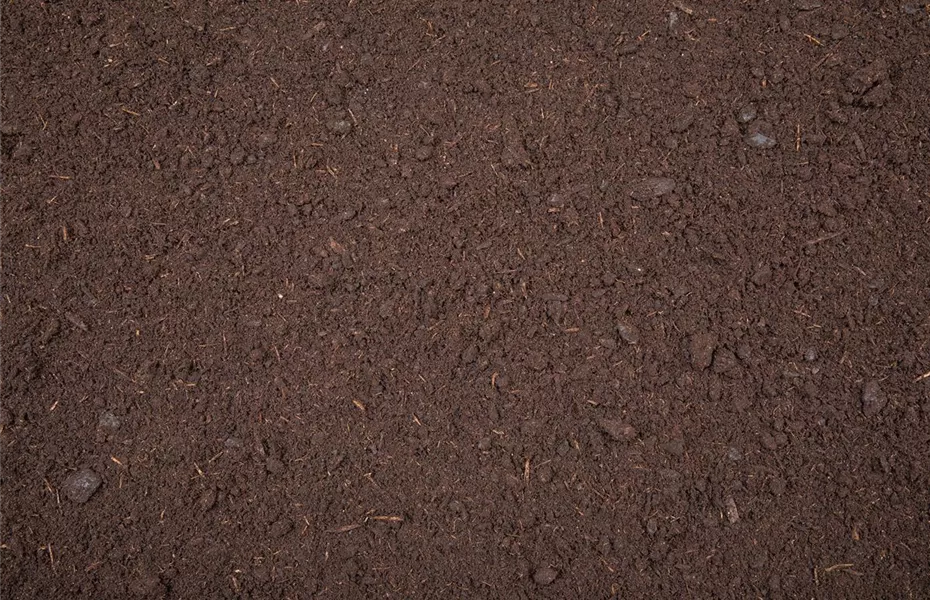 Rollrasen richtig verlegen - Tipps & Tricks