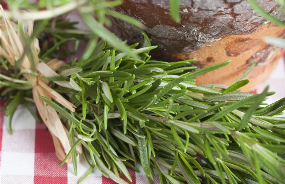 Kulinarischer Gaumenschmaus: Räuchern im eigenen Garten Kulinarischer Gaumenschmaus: Räuchern im eigenen Garten