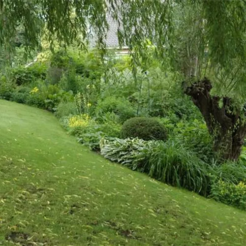 Schief ist modern - Der Garten muss nicht immer perfekt sein Schief ist modern - Der Garten muss nicht immer perfekt sein