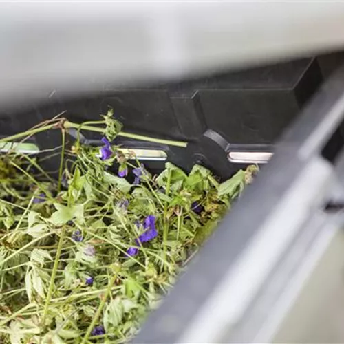 Permakultur Permakultur