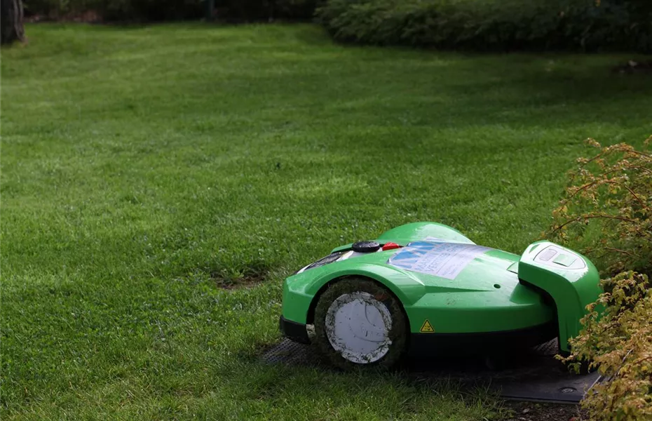 Schöne neue Welt – Automatisierung im Garten
