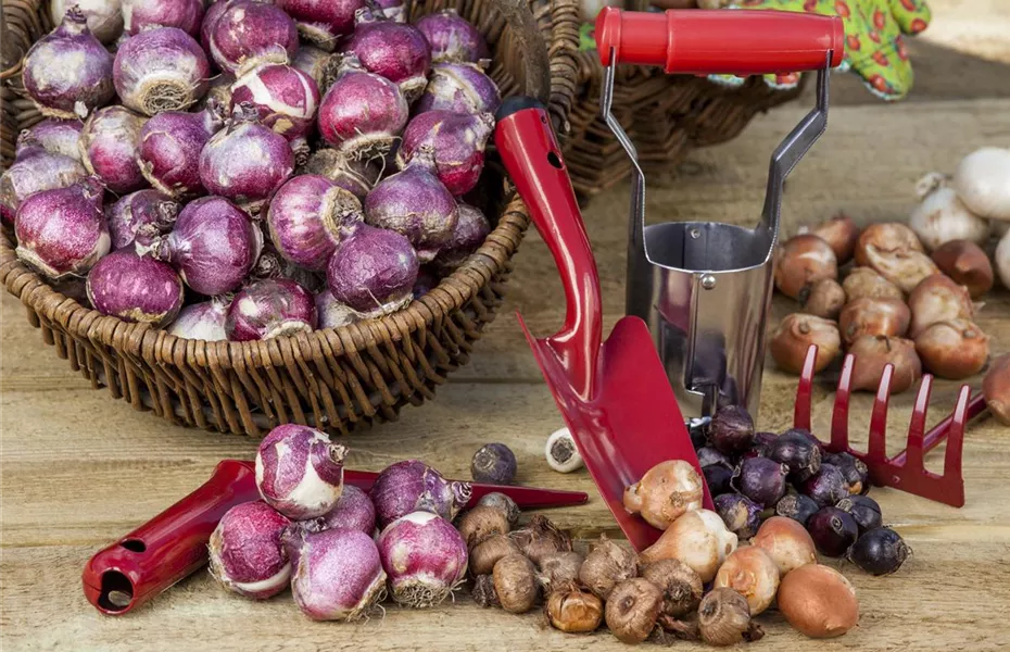 Gartenzubehör – kleine Helfer bei der täglichen Gartenarbeit 