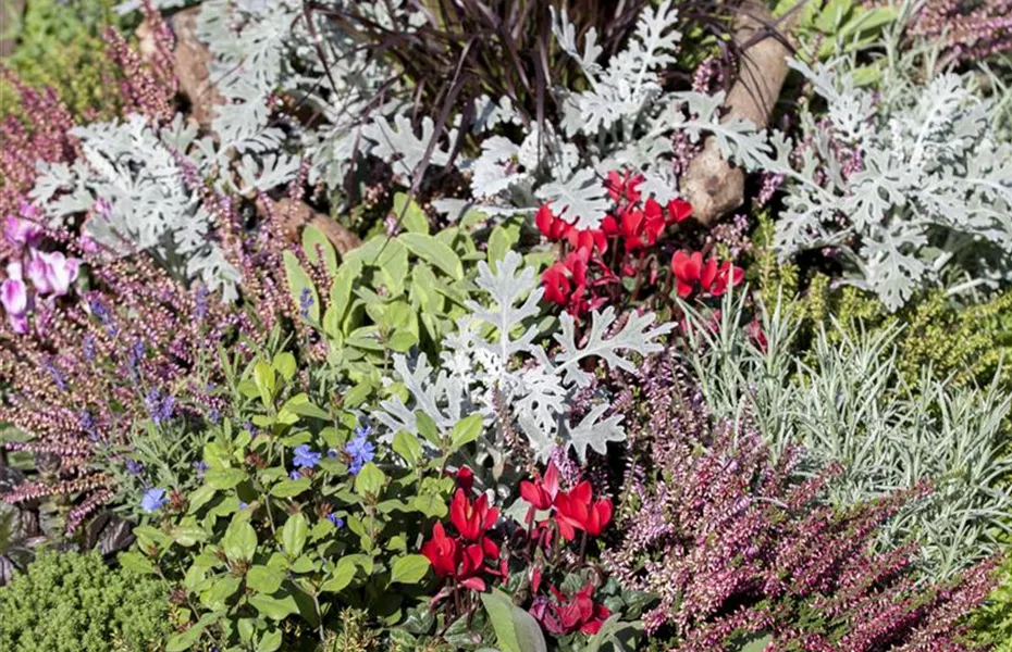 Die Grabpflege im Herbst