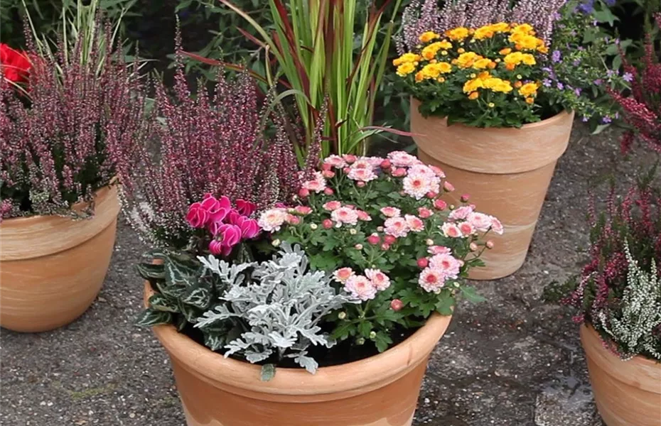 Möchten Sie Ihren Garten umstylen? So geht es ganz schnell 