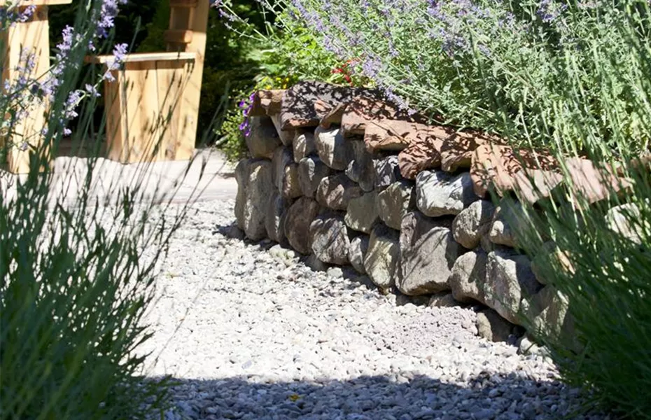 Von Artischocke bis Zucchini: alles für den Bauerngarten