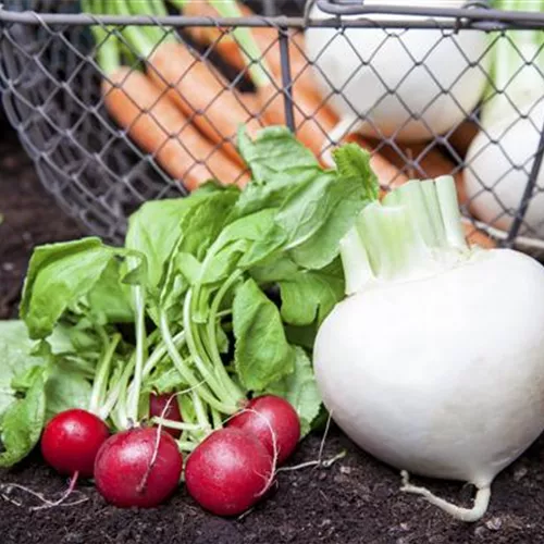 Erntegut haltbar machen Erntegut haltbar machen