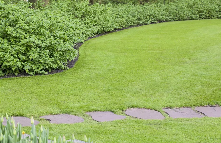 Sie sind bewegend! Wege, die durch den Garten führen.
